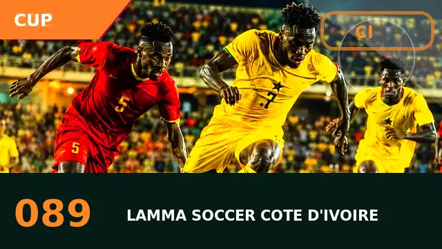 regional qualifiers : route vers la Coupe nationale, enjeux tactiques et scénario à élimination directe