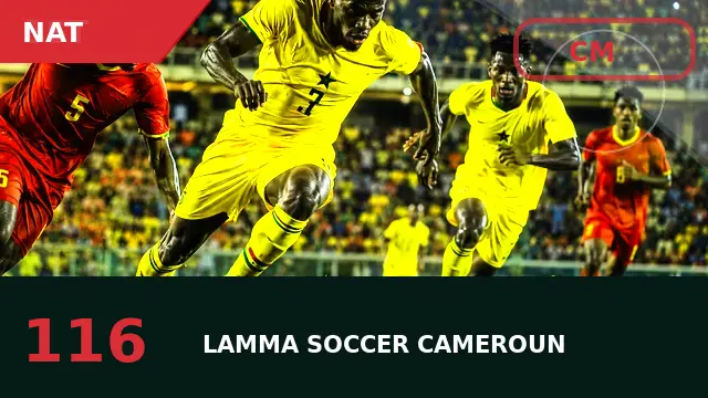 capitanat : sélection, rôle et perspectives avec les Lions Indomptables