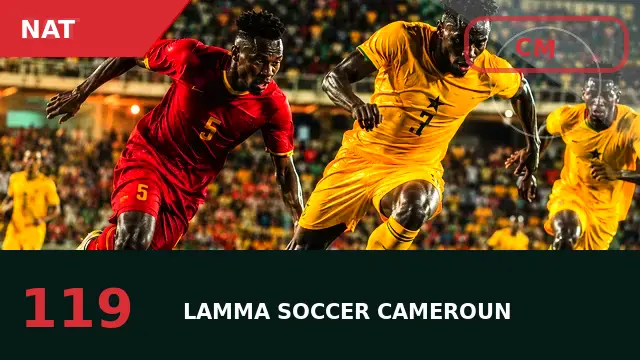 sélection des joueurs locaux : sélection, rôle et perspectives avec les Lions Indomptables