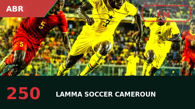 international-window form : influence Cameroun, rôle et suivi des performances à l’étranger